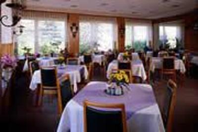 фото отеля Hotel Weidenau