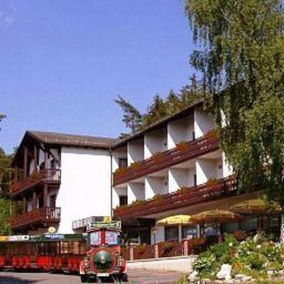 фото отеля Hotel Igel Puchersreuth