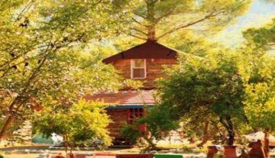 фото отеля Jungle Bells Hostel
