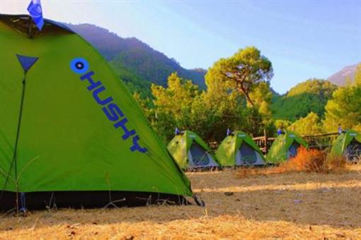 фото отеля Jungle Bells Hostel