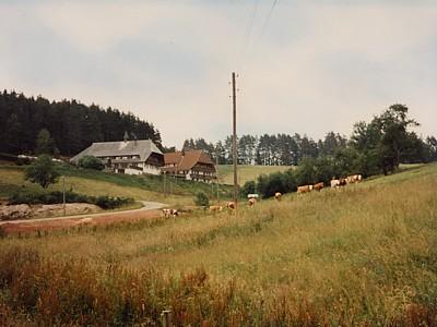 фото отеля Landgasthof Berghof