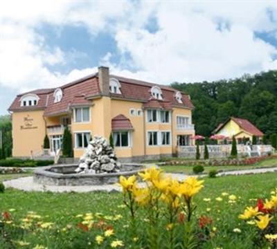 фото отеля Hotel Edelweiss Sovata