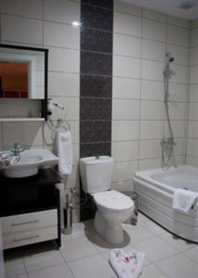 фото отеля The Riada Hotel Adapazari