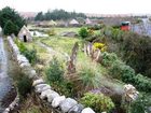 фото отеля Dan O'Hara's Farmhouse Clffden