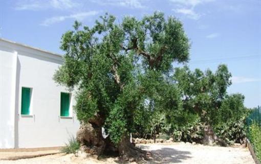 фото отеля Masseria Casa Nostra