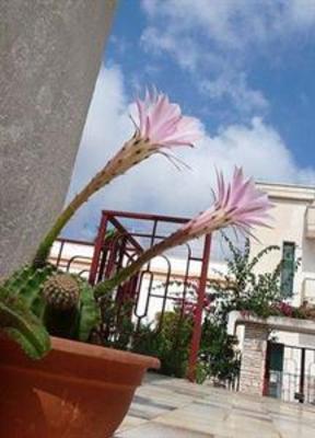 фото отеля Santu Nicola Bed & Breakfast