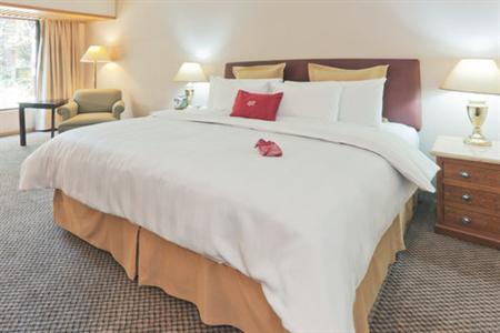 фото отеля Crowne Plaza Hotel Guadalajara