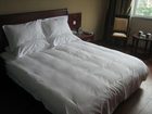 фото отеля Green Tree Inn (Hangzhou Shiqiao Road)