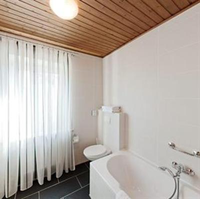 фото отеля Hotel Königer Landsham