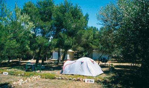 фото отеля Camping Son Bou