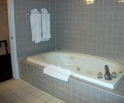 фото отеля Regency Inn and Suites West Springfield