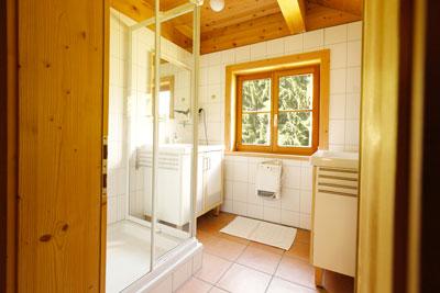 фото отеля Alpenapart Haus Engstler