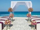 фото отеля Secrets The Vine Cancun Resort & Spa