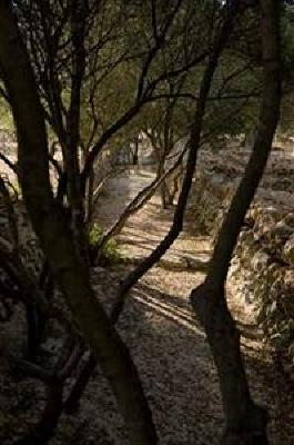 фото отеля Masseria Quis Ut Deus