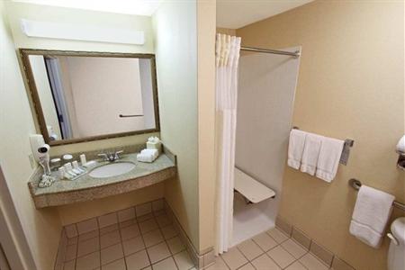 фото отеля Hilton Garden Inn Baton Rouge Airport