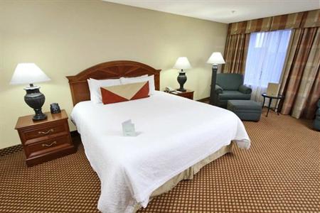фото отеля Hilton Garden Inn Baton Rouge Airport