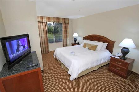 фото отеля Hilton Garden Inn Baton Rouge Airport