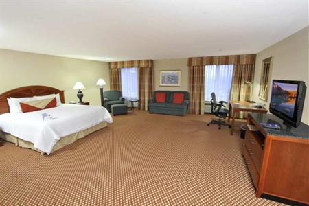 фото отеля Hilton Garden Inn Baton Rouge Airport