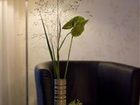 фото отеля Hotel Vier Jahreszeiten Waldkirchen