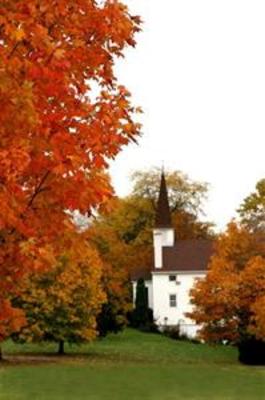 фото отеля Homewood Suites Syracuse/Liverpool