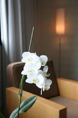 фото отеля Crowne Plaza Lille Hotel