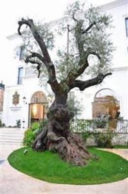 фото отеля Ostuni Palace Hotel