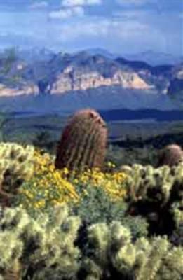 фото отеля BEST WESTERN Plus Papago Inn & Resort