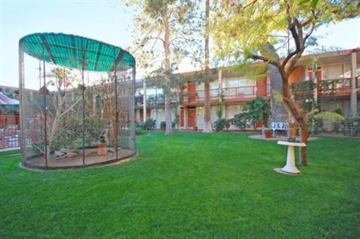 фото отеля BEST WESTERN Plus Papago Inn & Resort