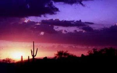 фото отеля BEST WESTERN Plus Papago Inn & Resort