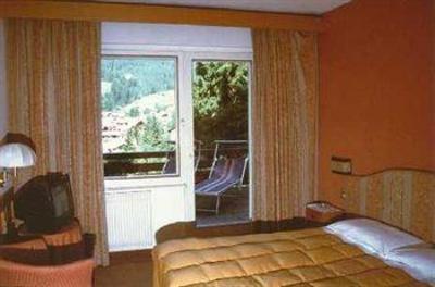 фото отеля Hotel Catinaccio Rosengarten