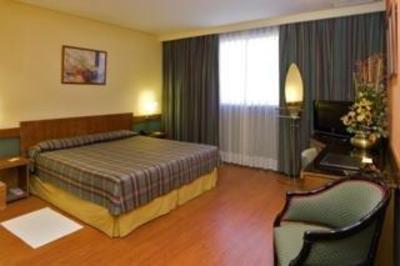 фото отеля Carlton Rioja Hotel Logrono