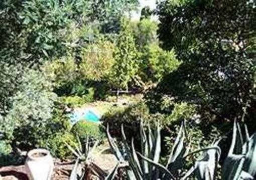 фото отеля Backpackers Ritz