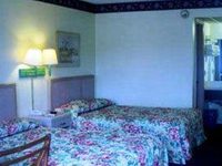 Palmetto Inn Estill