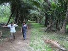 фото отеля Ara Moana Bungalows Mangaia