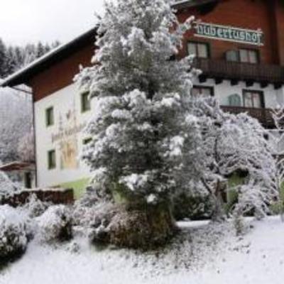 фото отеля Hubertushof Beim Romerbad Pension