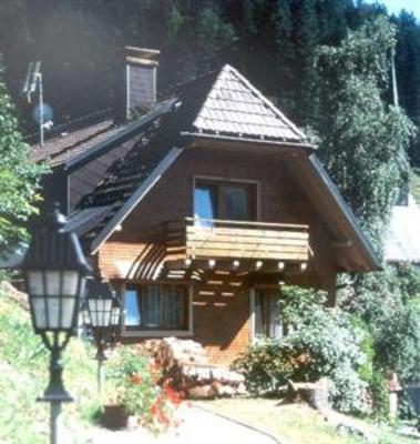фото отеля Hotel Adler Todtnau