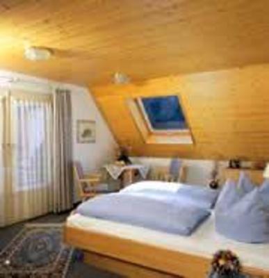 фото отеля Hotel Adler Todtnau
