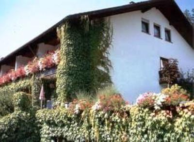 фото отеля Schwarzwald Schaefer