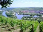 фото отеля Hotel Lamm Wurzburg