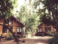 Machan Wildlife Resort