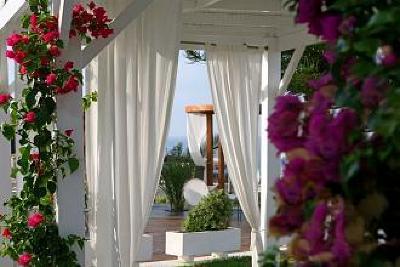 фото отеля Napa Mermaid Hotel and Suites