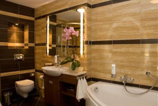 фото отеля Hotel Elida Miedzybrodzie Bialskie