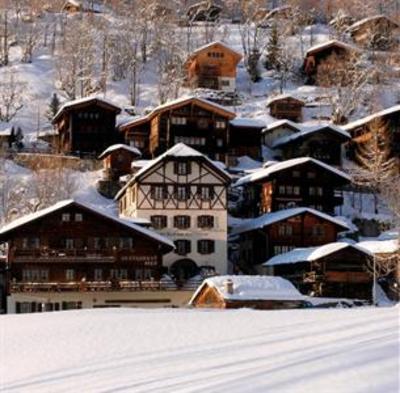 фото отеля Hotel Nest- und Bietschhorn
