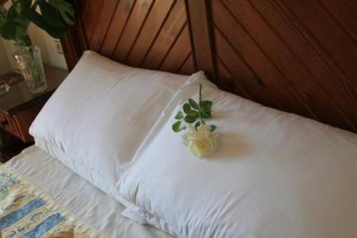 фото отеля Hotel Antonio II
