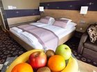 фото отеля Wellness Hotel Katalin