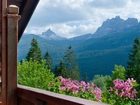 фото отеля Hotel Serena Cortina d'Ampezzo