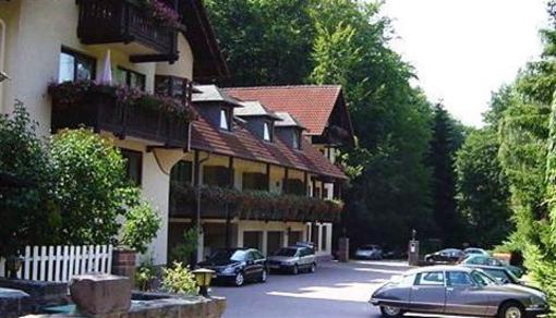 фото отеля Hotel Paradeismühle Klingenberg am Main