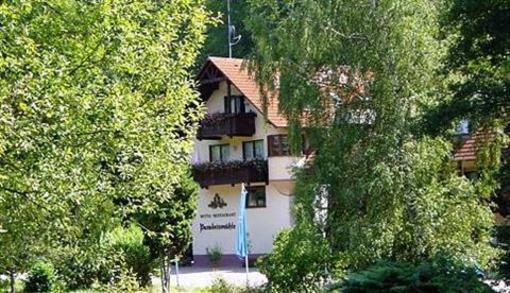 фото отеля Hotel Paradeismühle Klingenberg am Main