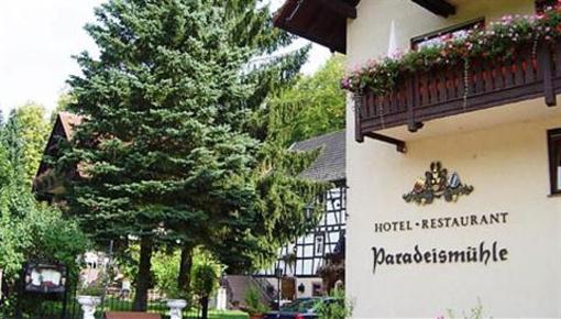 фото отеля Hotel Paradeismühle Klingenberg am Main