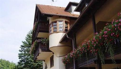 фото отеля Hotel Paradeismühle Klingenberg am Main